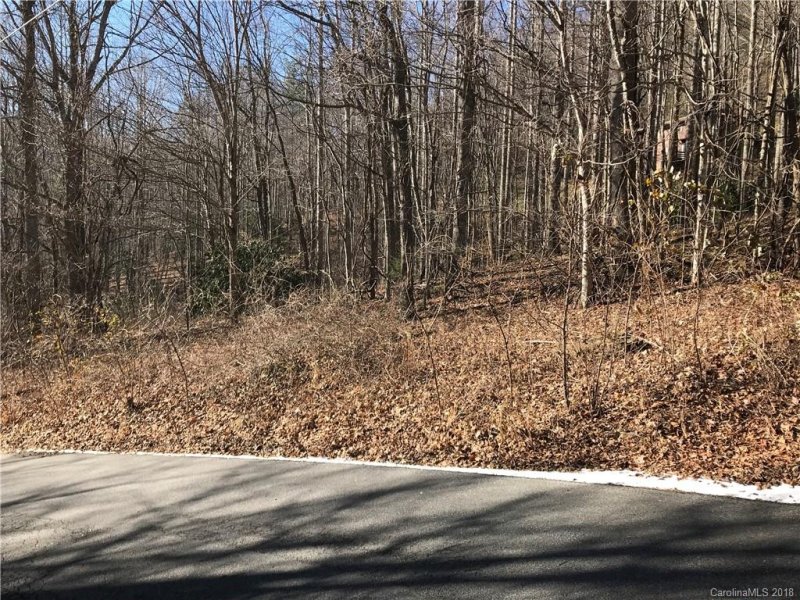 Property image 4 at 60 Section 4 Bald Creek Road, Clyde, NC 28721