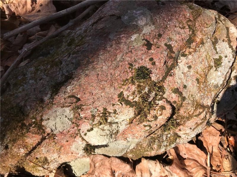 Property image 5 at 60 Section 4 Bald Creek Road, Clyde, NC 28721