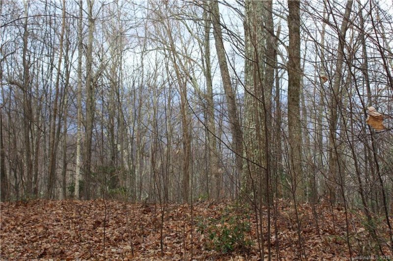 Property image 2 at 5 7 Mountain Mint Drive, Swannanoa, NC 28778