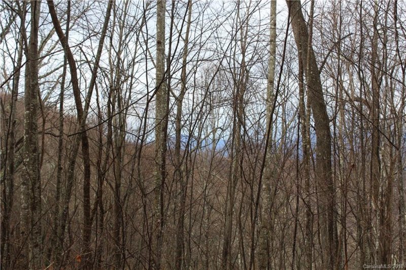 Property image 3 at 5 7 Mountain Mint Drive, Swannanoa, NC 28778