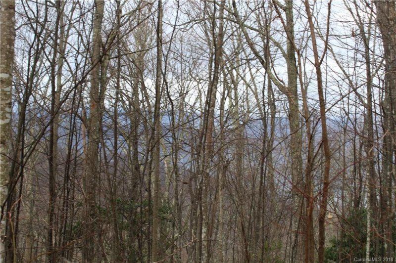 Property image 4 at 5 7 Mountain Mint Drive, Swannanoa, NC 28778