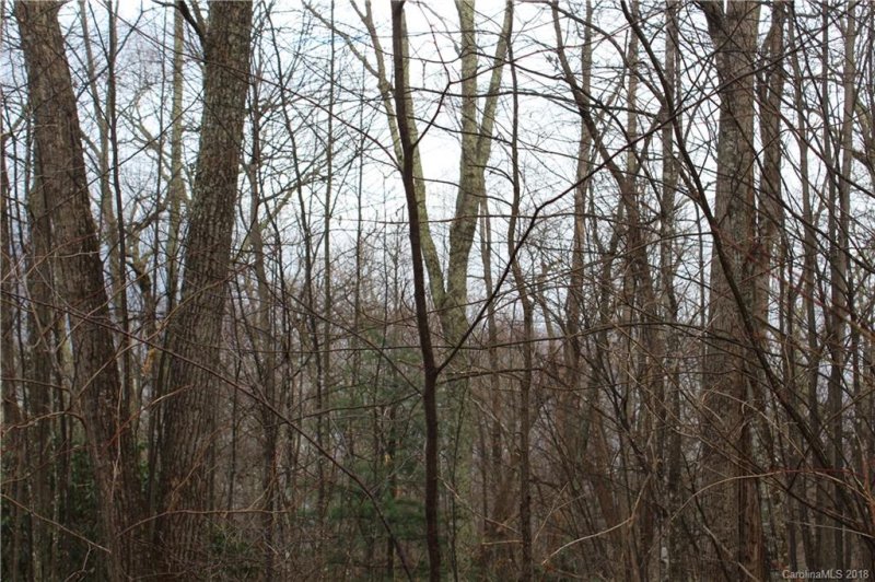 Property image 5 at 5 7 Mountain Mint Drive, Swannanoa, NC 28778