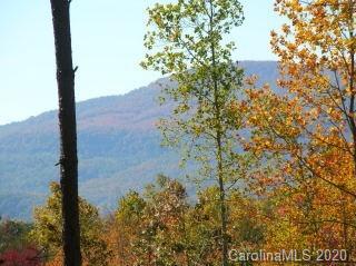 Property image 2 at 0 Loblolly Lane, Mill Spring, NC 28756