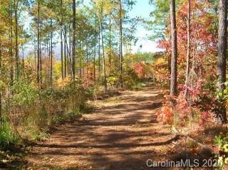 Property image 3 at 0 Loblolly Lane, Mill Spring, NC 28756