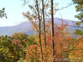 Property image 4 at 0 Loblolly Lane, Mill Spring, NC 28756