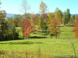 Property image 5 at 0 Loblolly Lane, Mill Spring, NC 28756
