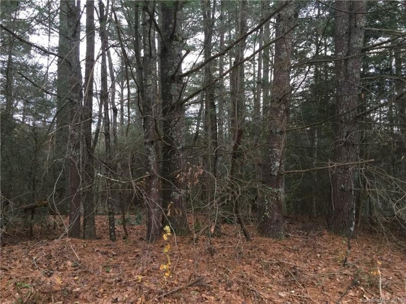 Property image 2 at 22 Dawn Valley Drive, Hendersonville, NC 28792