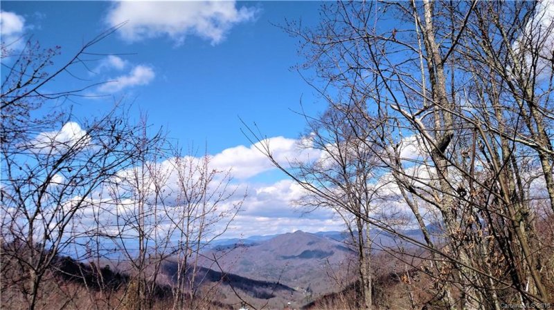 Lot 1 A Wild Turkey Drive