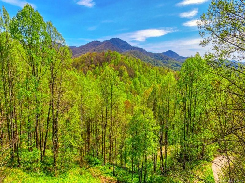 Property image 4 at 668 670 Bull Thistle Way, Sylva, NC 28779