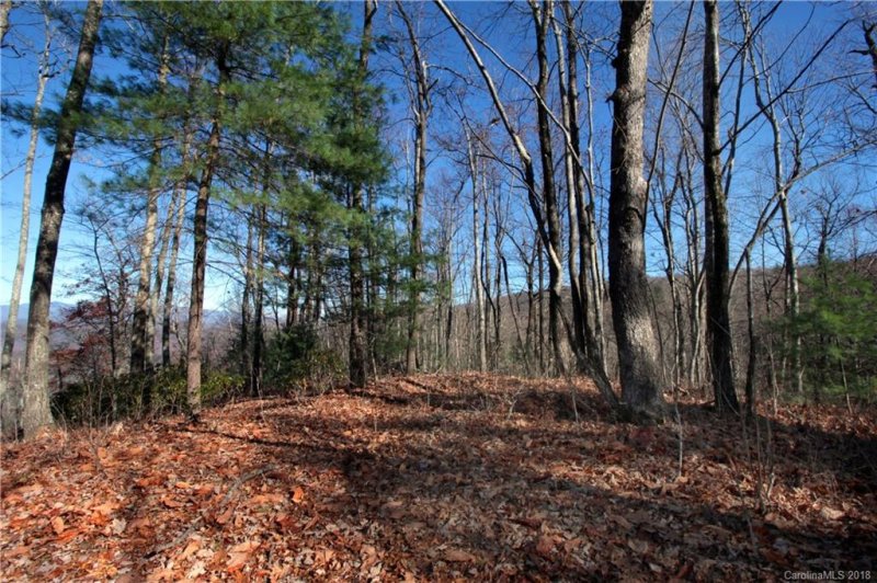 Property image 5 at Lot 13 Devils Hole Road, Rosman, NC 28772