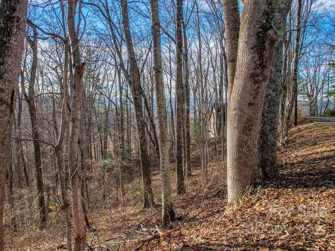 Property image 3 at 42 Mountain Vista Drive, Asheville, NC 28804