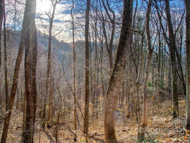 Property image 4 at 42 Mountain Vista Drive, Asheville, NC 28804