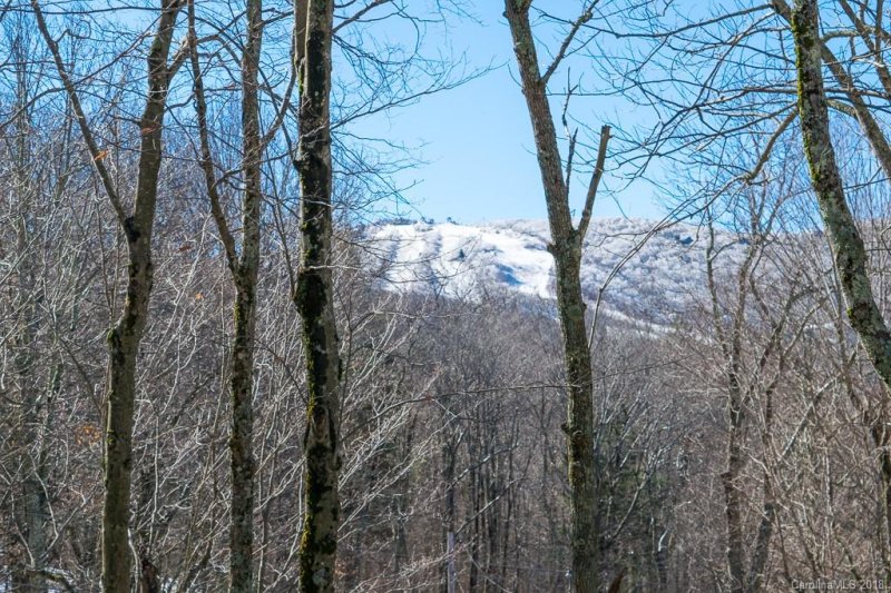 Property image 3 at 106 Lower Grouse Ridge Road, Beech Mountain, NC 28604