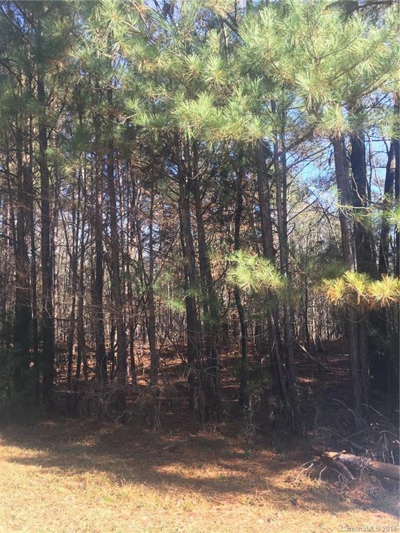 Property image 3 at Lot 14 Goblet Road, Richburg, SC 29729
