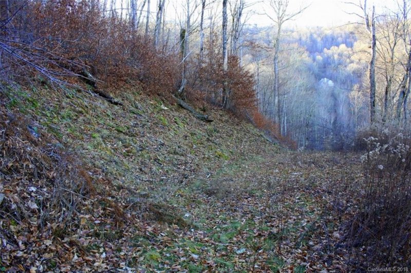 Property image 5 at 16 Mountain Gait Drive, Mars Hill, NC 28754