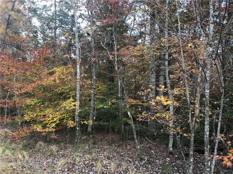 Property image 4 at V L 92 West Lake Road, Marion, NC 28752