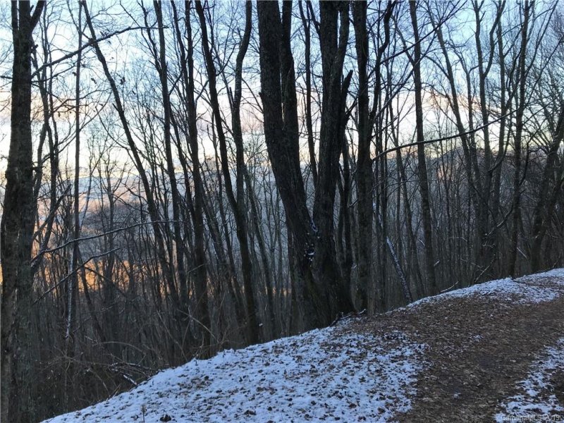 Property image 3 at A19 A20 Quail Ridge Drive, Maggie Valley, NC 28751