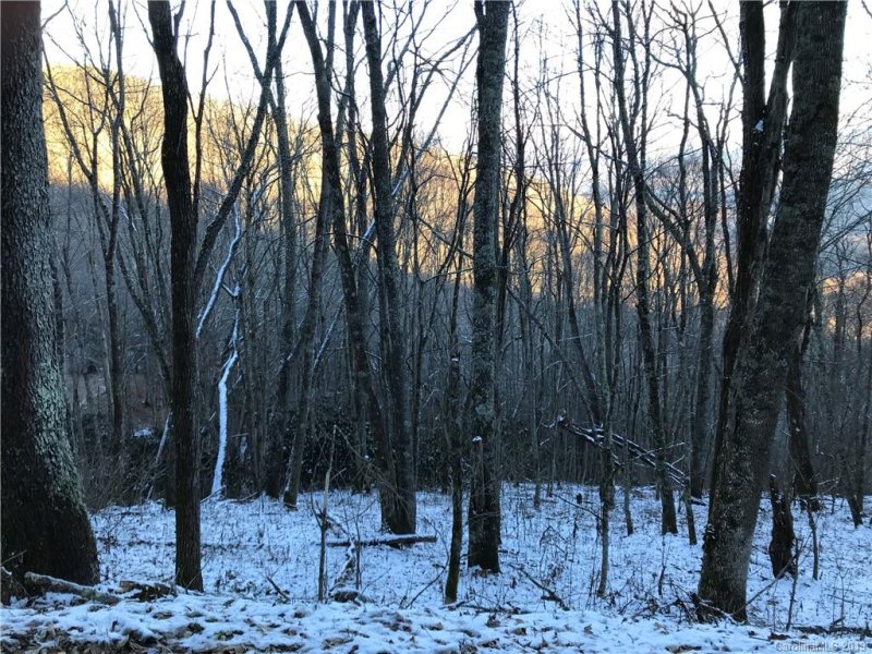 Property image 4 at A19 A20 Quail Ridge Drive, Maggie Valley, NC 28751