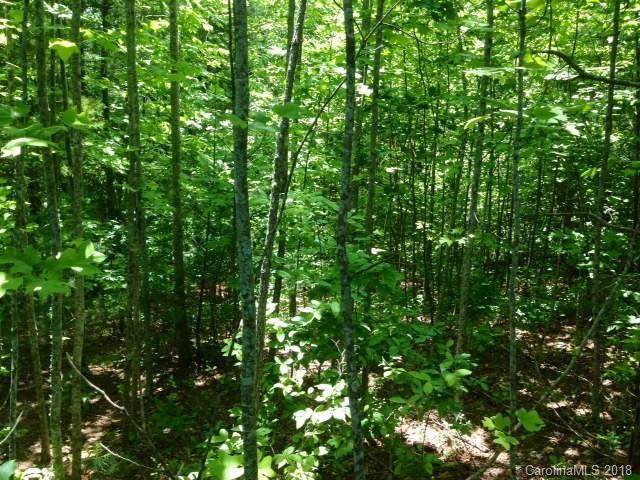 Property image 5 at 102 Emerald Cove Court, Hendersonville, NC 28792