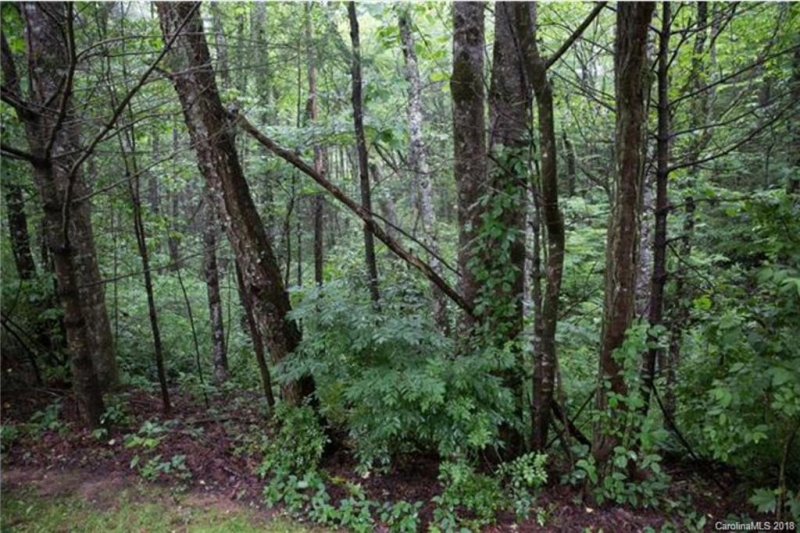 Property image 2 at 26 Legendary Road, Hendersonville, NC 28739