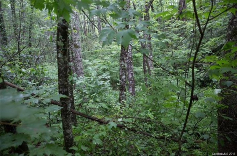 Property image 5 at 26 Legendary Road, Hendersonville, NC 28739