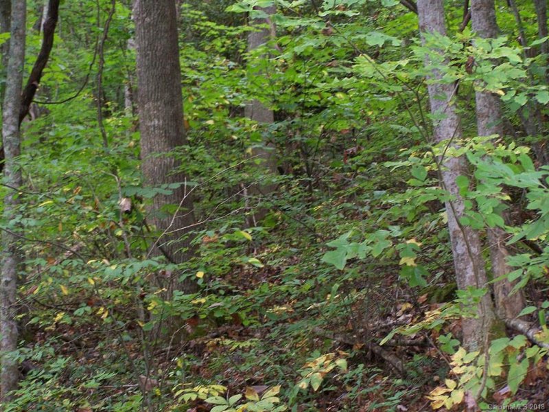 Property image 3 at 000 Whispering Woods Path, Mars Hill, NC 28754
