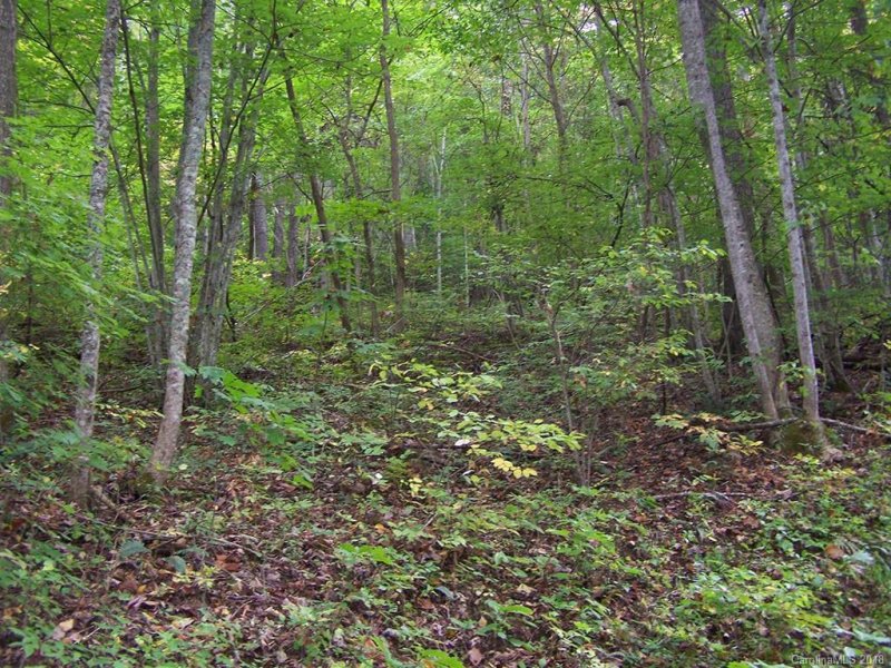 Property image 4 at 000 Whispering Woods Path, Mars Hill, NC 28754