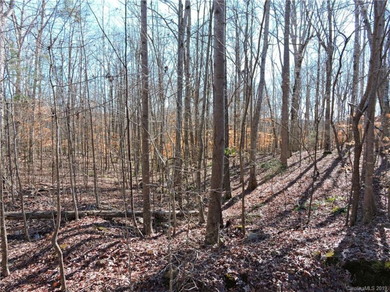 Property image 4 at 4 Ac Mockingbird Lane, Waxhaw, NC 28173