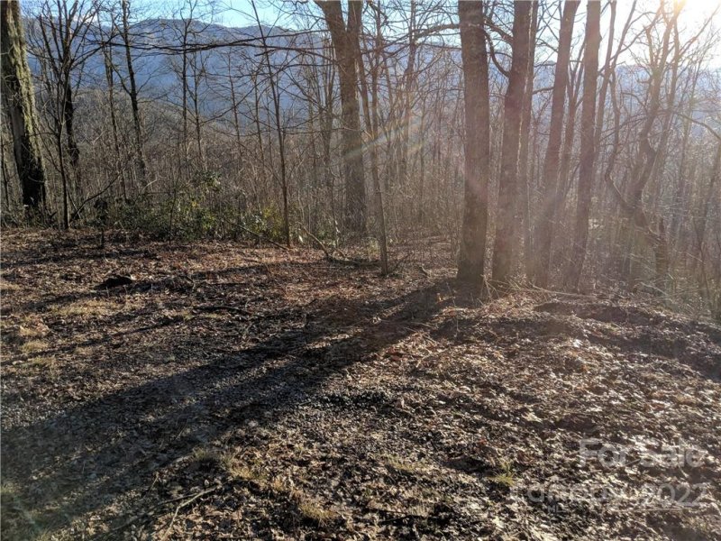 Property image 3 at 1 Thunderstruck Drive, Maggie Valley, NC 28751