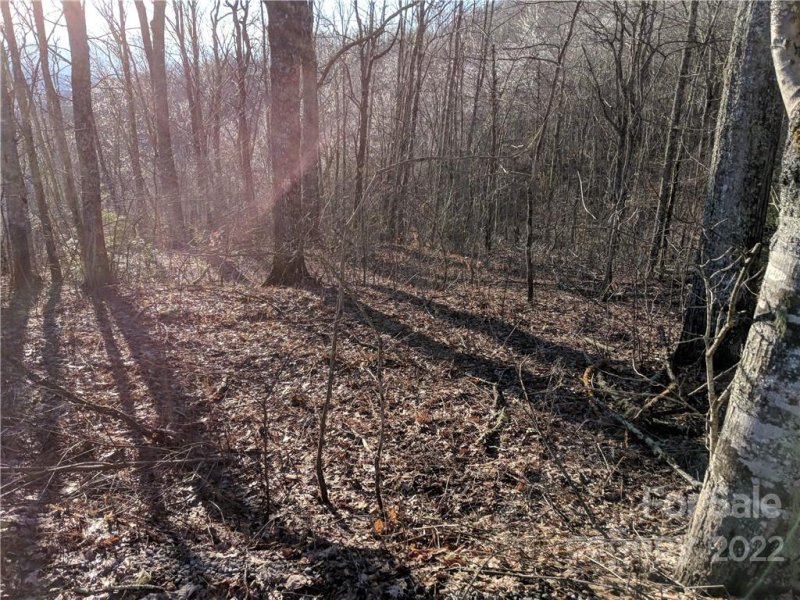 Property image 4 at 1 Thunderstruck Drive, Maggie Valley, NC 28751