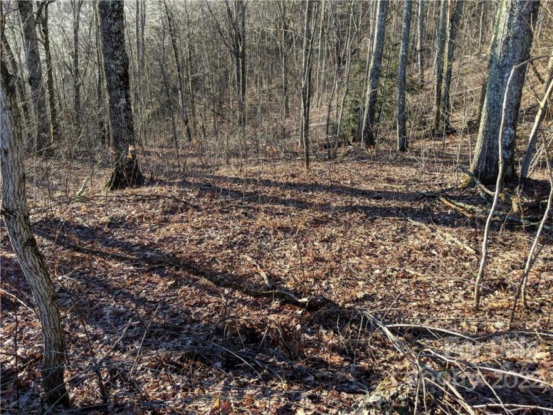 Property image 5 at 1 Thunderstruck Drive, Maggie Valley, NC 28751