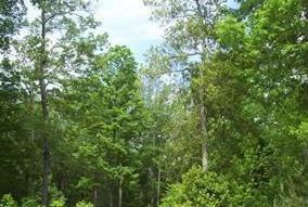 Property image 2 at Lot 22 Oak Park Court, Iron Station, NC 28080