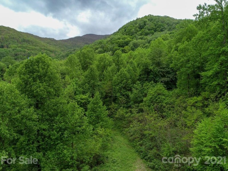 Property image 2 at 00 Red Bank Road, Waynesville, NC 28786