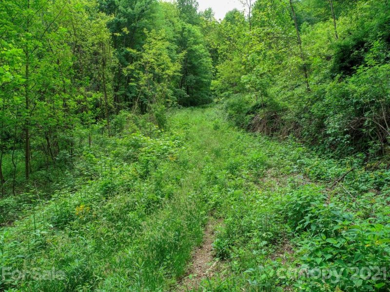 Property image 4 at 00 Red Bank Road, Waynesville, NC 28786