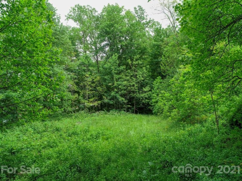 Property image 5 at 00 Red Bank Road, Waynesville, NC 28786