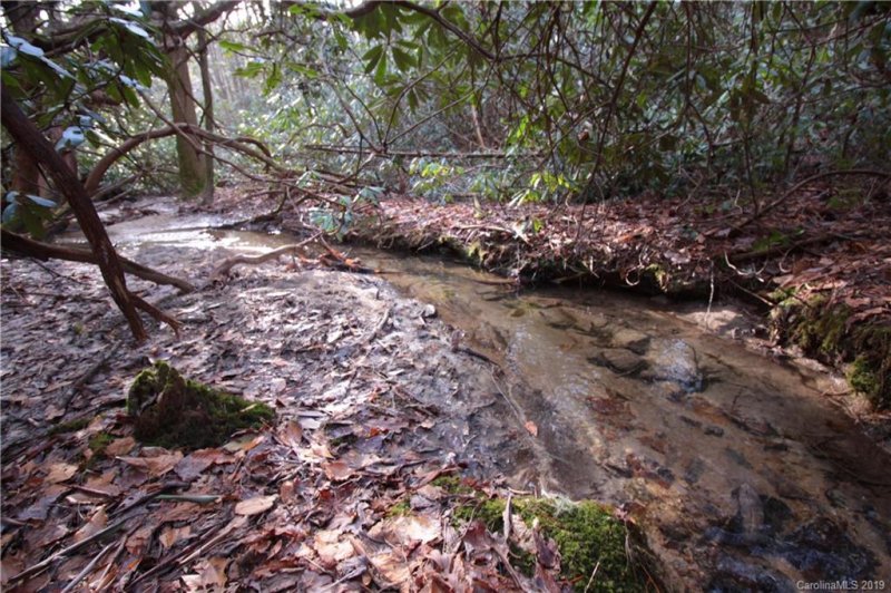 Property image 2 at 99 Double Creek Road, Brevard, NC 28712