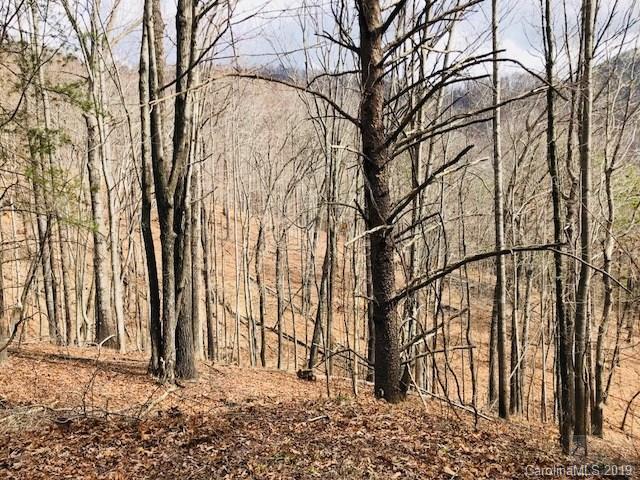 Property image 2 at 129 Silver Creek Springs Drive, Morganton, NC 28655