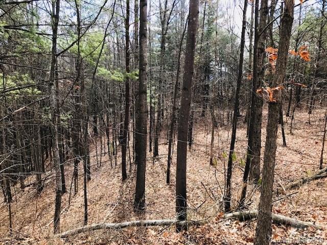 Property image 3 at 129 Silver Creek Springs Drive, Morganton, NC 28655