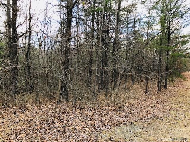 Property image 4 at 129 Silver Creek Springs Drive, Morganton, NC 28655