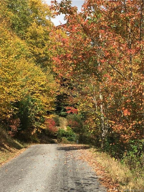 Property image 4 at Lot No 20 Frank Davis Road, Waynesville, NC 28785