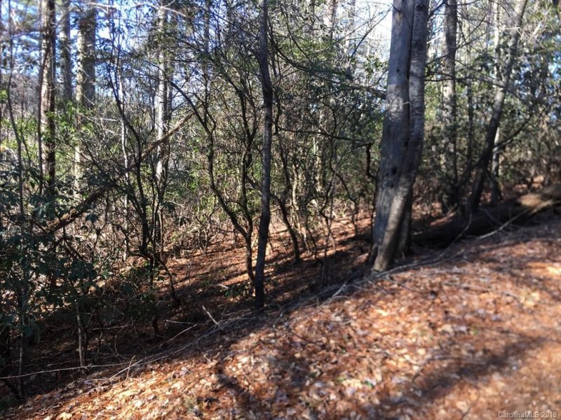 Property image 2 at Tbd Wildwood Drive, Lake Toxaway, NC 28747