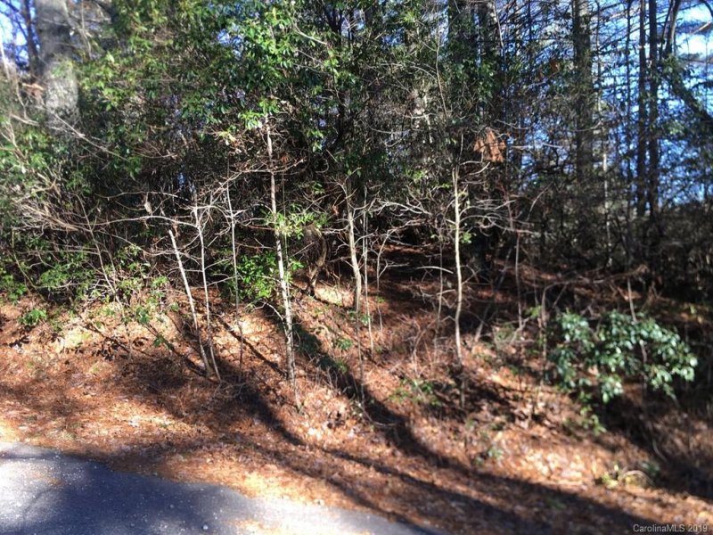 Property image 3 at Tbd Wildwood Drive, Lake Toxaway, NC 28747