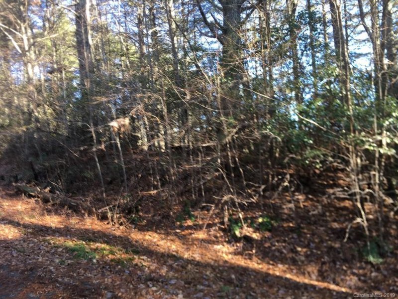 Property image 4 at Tbd Wildwood Drive, Lake Toxaway, NC 28747