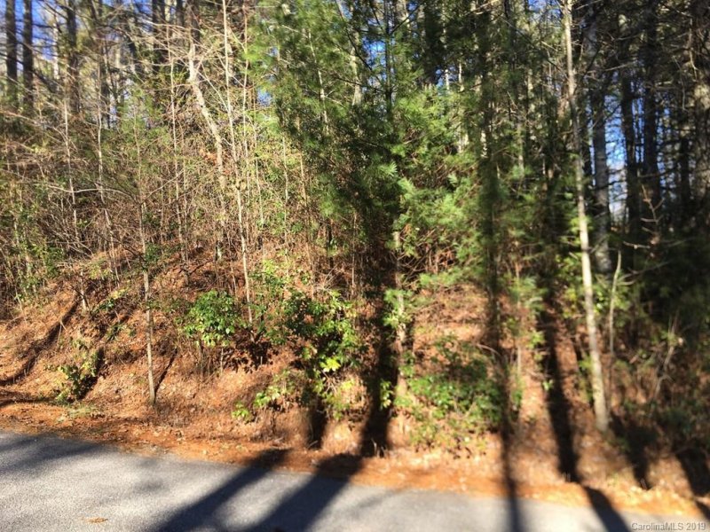 Property image 5 at Tbd Wildwood Drive, Lake Toxaway, NC 28747