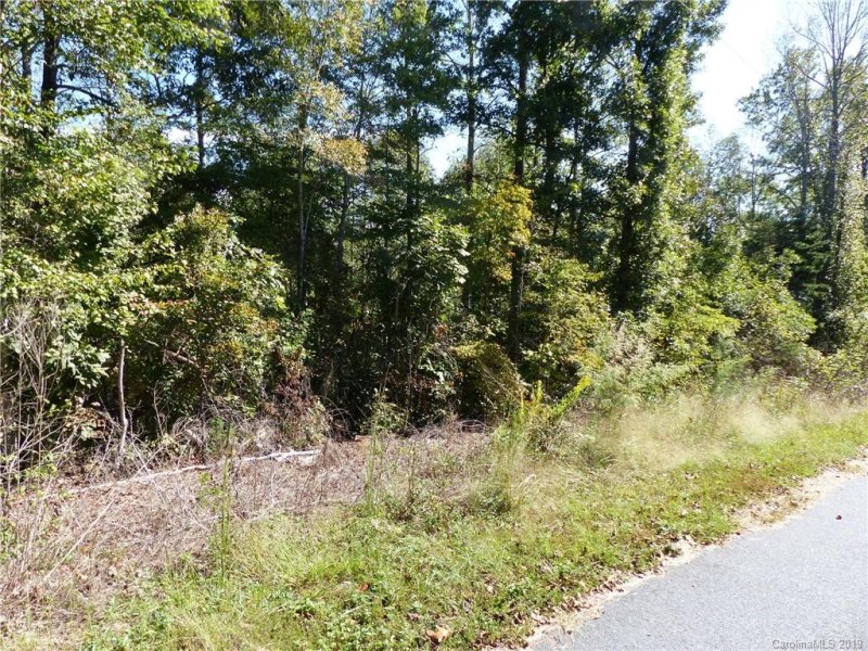 Property image 2 at 0 Greenhill Farms Drive, Rutherfordton, NC 28139