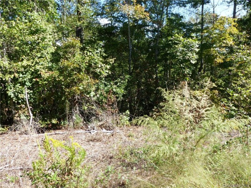 Property image 3 at 0 Greenhill Farms Drive, Rutherfordton, NC 28139