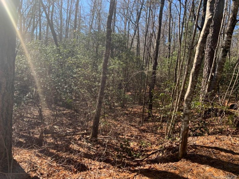 Property image 2 at Lot J31 Galax Lane, Brevard, NC 28712