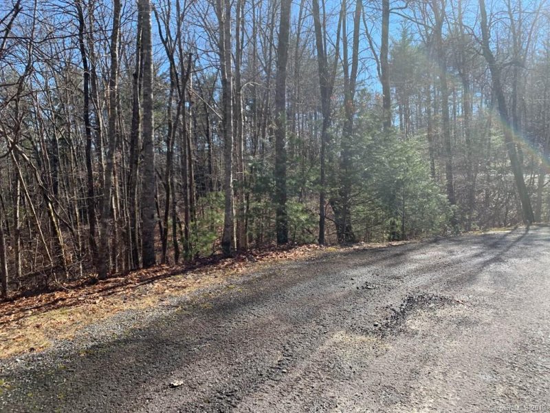 Property image 3 at Lot J31 Galax Lane, Brevard, NC 28712