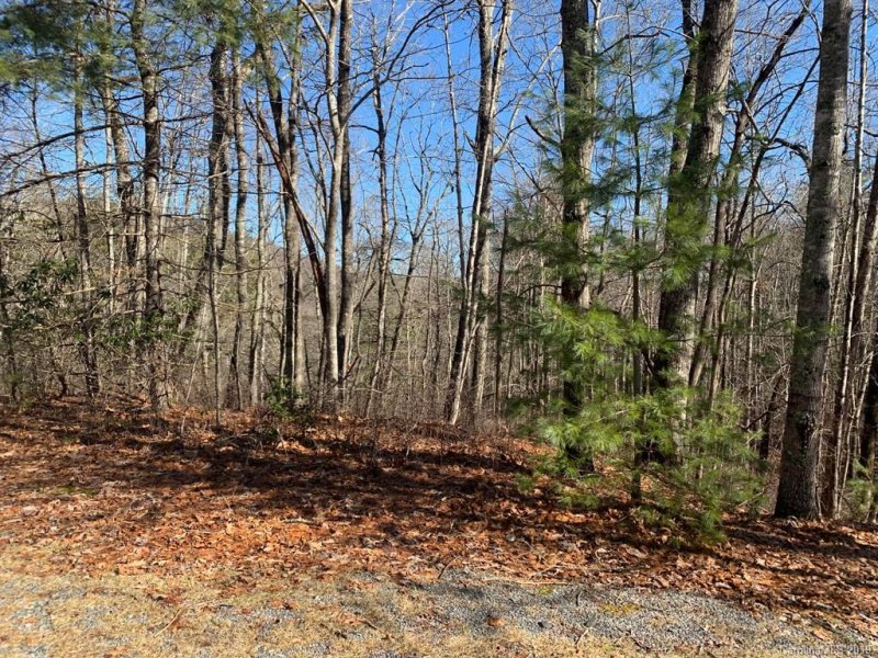 Property image 4 at Lot J31 Galax Lane, Brevard, NC 28712