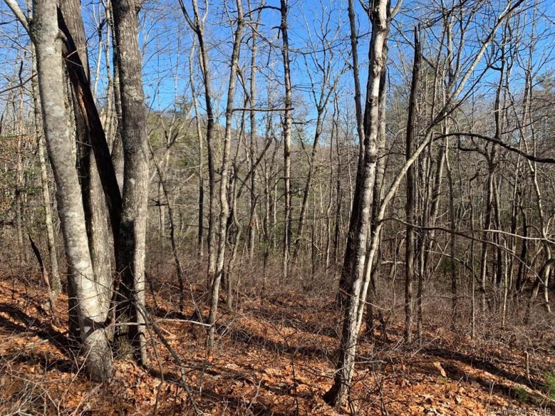 Property image 5 at Lot J31 Galax Lane, Brevard, NC 28712